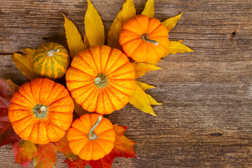 Trattamento viso... alla zucca