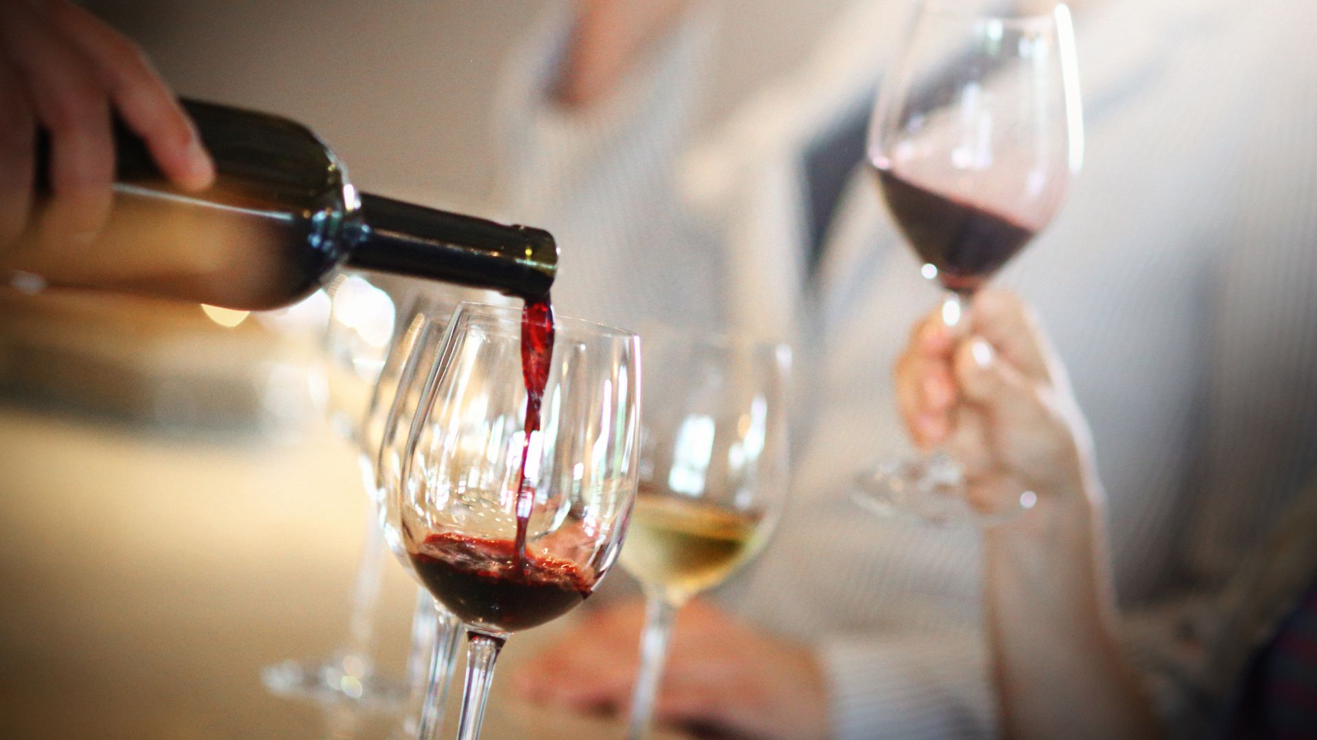 degustazioni vini e distillati aqualux hotel bardolino